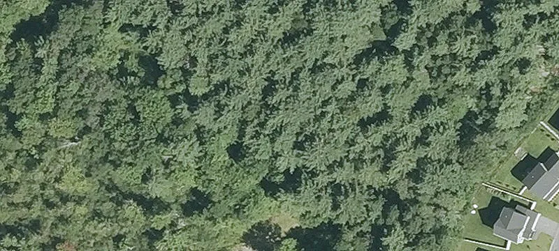 109 Chestnut Hl Rd