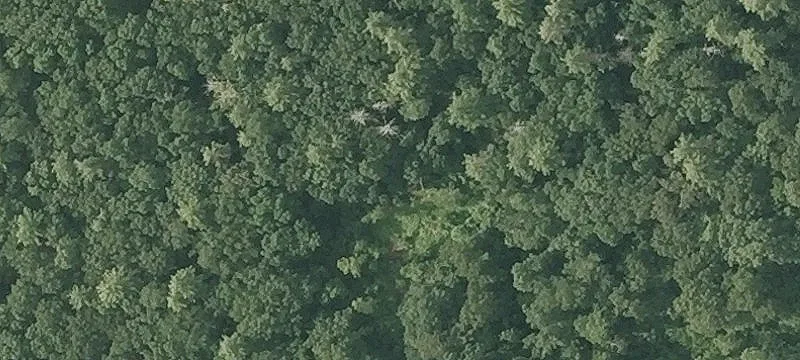 21 Indian Rock Rd