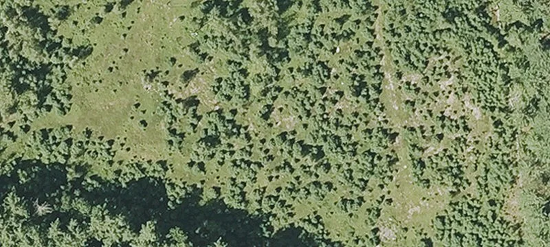 85 Pierce Rd