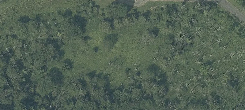 8 Fox Hl Rd