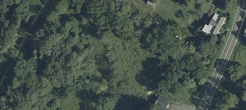 379 Clove Rd