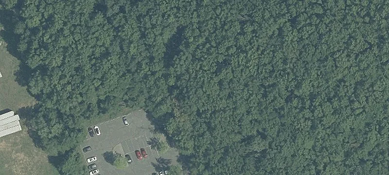 226 Taylors Mls Rd