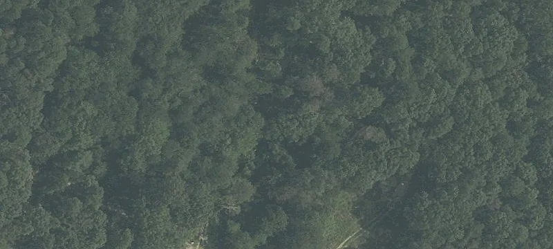 194 Harding Hwy