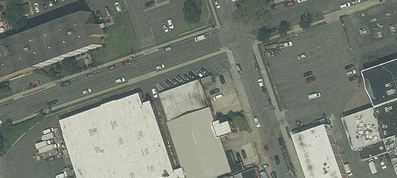 55 Tulip St