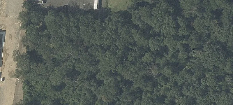 370 Whitesville Rd