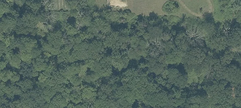 106 Mt Horeb Rd Rear