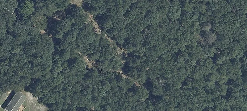705 Rte 54