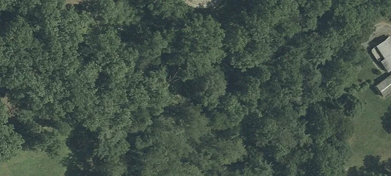 246 Lows Holw Rd