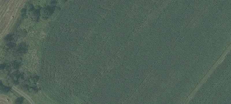39 Kuhl Rd