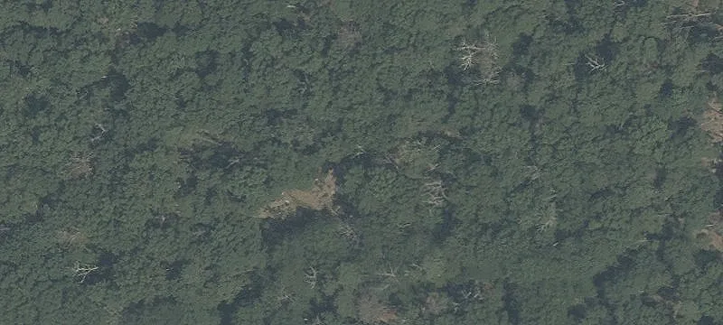 137 Harding Hwy