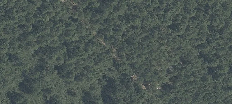 Lebanon Rd
