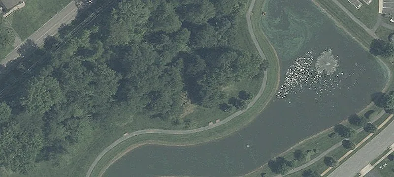 Brandywine Dr