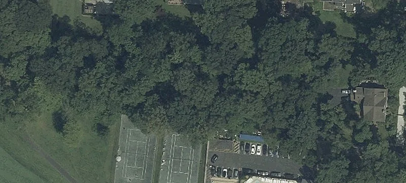 Ivy Ave