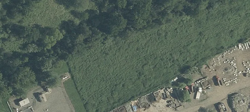 Rte 31