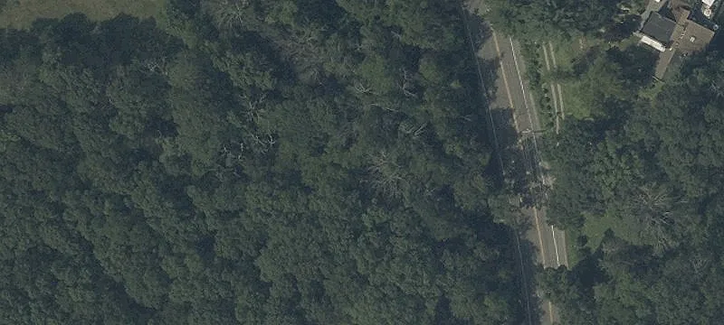 Airport Rd