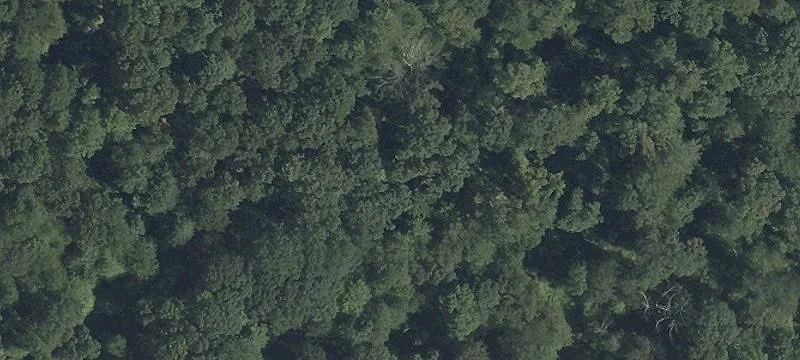 4 Pt Mtn Rd
