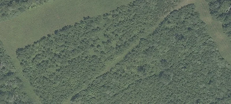 Cream Ridge, NJ 08514