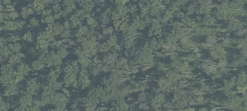 Kinkora Rd