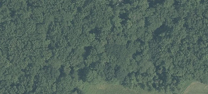 2075 Englishtown Rd