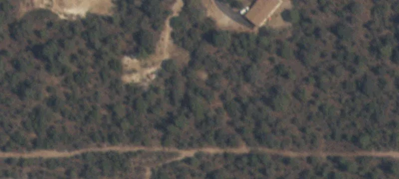Allison Ln