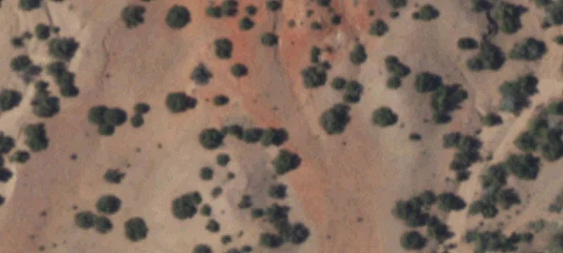Ambush Driveway