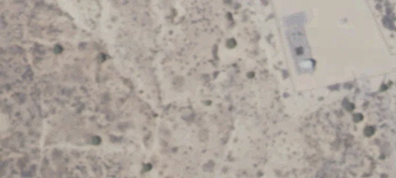 1106 Nm 516
