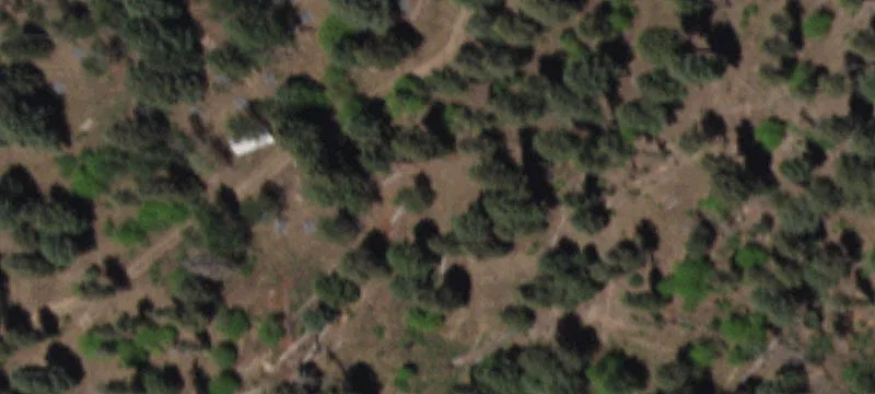 319 Potato Cyn Rd