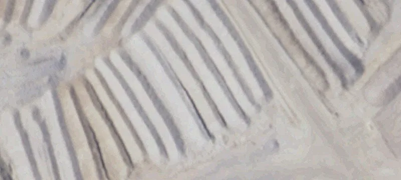 49 Rd 3150