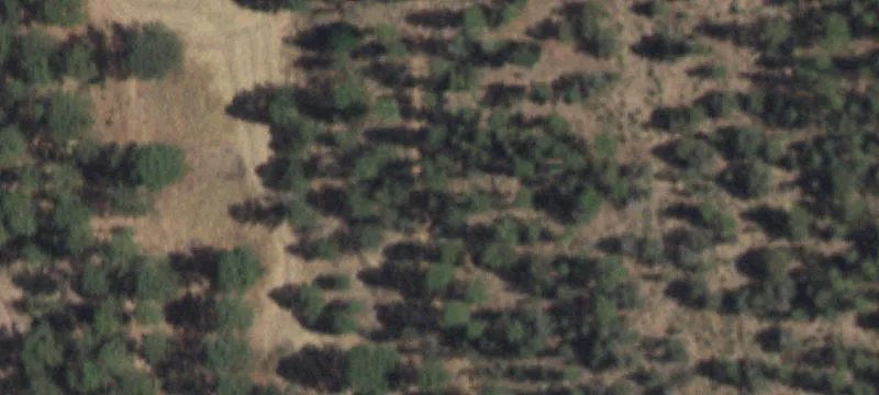 3081 Us Hwy 82