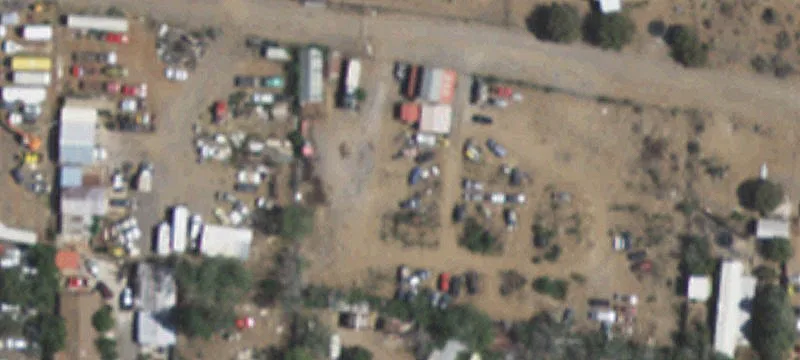 5 Pack Rat