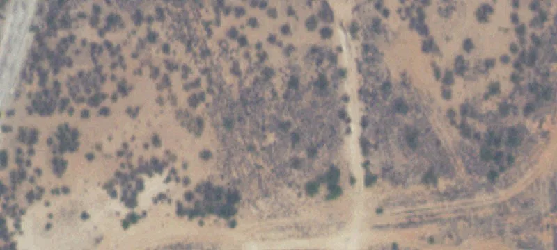Hobbs, NM 88240