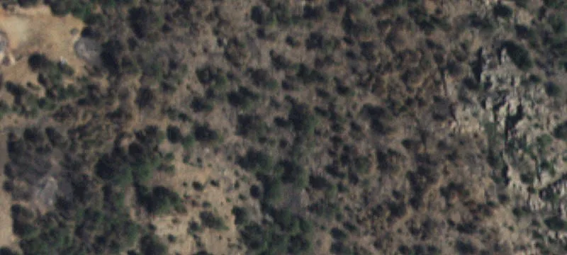 Mora, NM 87732