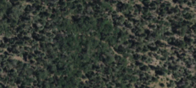 Eagle Nest, NM 87718