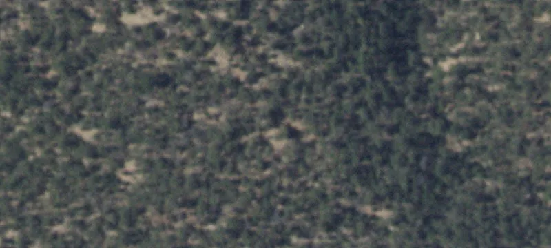 Tijeras, NM 87059