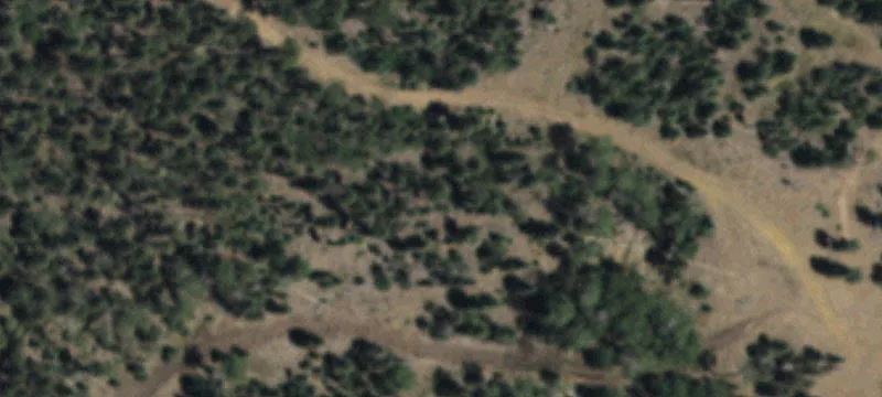 Eagle Nest, NM 87718