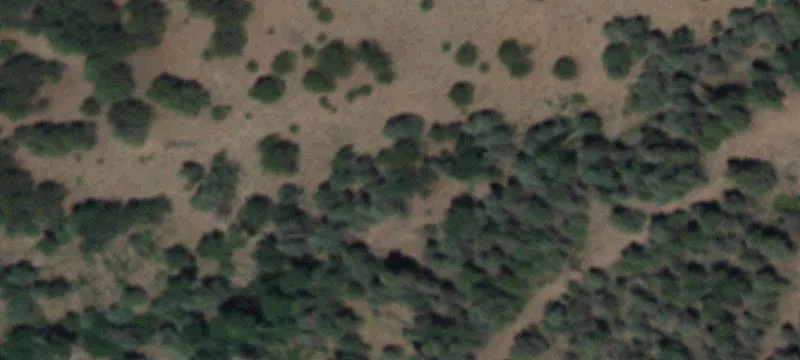 2209 Hwy 38