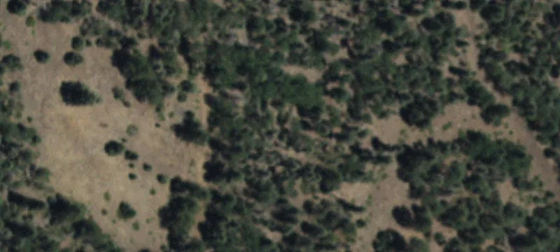 Eagle Nest, NM 87718
