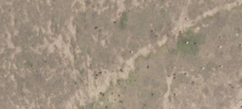 Cimarron, NM 87714