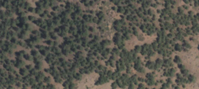 Carrizozo, NM 88301