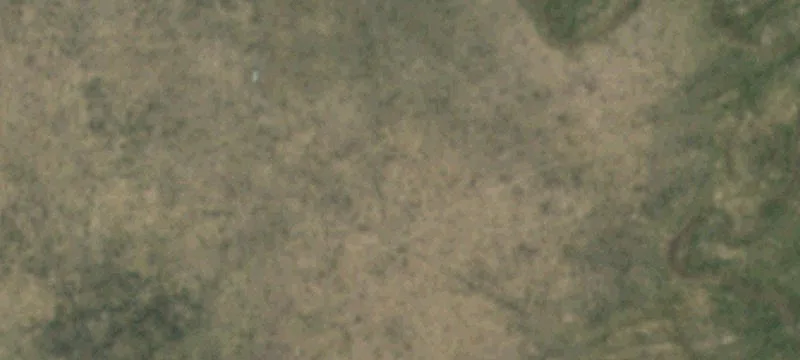 Eagle Nest, NM 87718