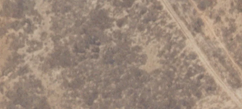 Roswell, NM 88201