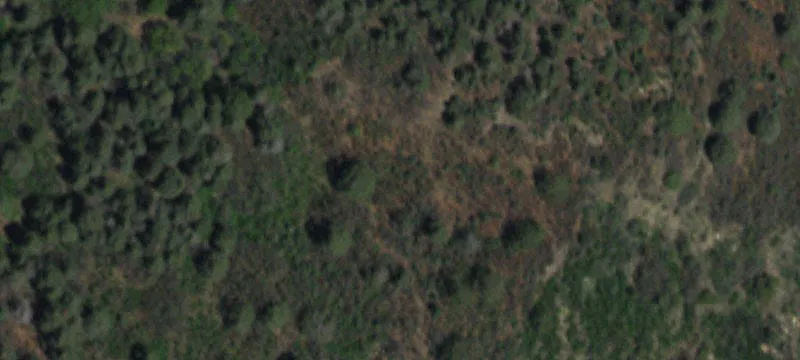 Springer, NM 87747