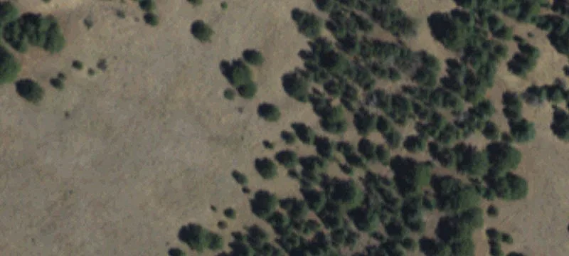 Eagle Nest, NM 87718