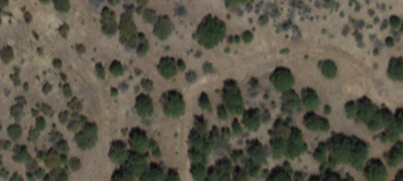 Mule Creek, NM 88051