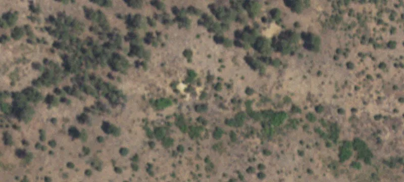 Carrizozo, NM 88301