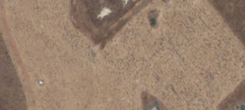 Portales, NM 88130