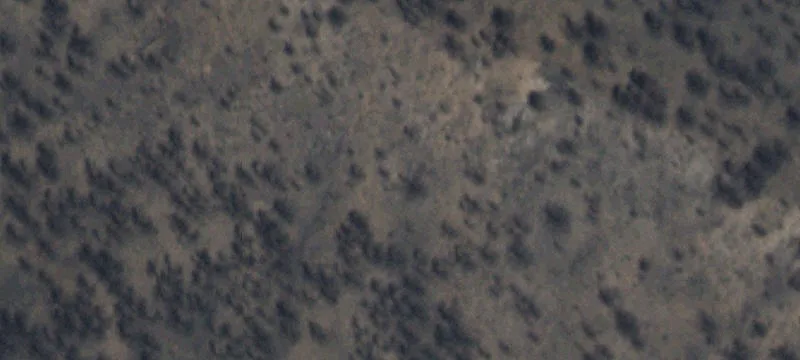 Rociada, NM 87742