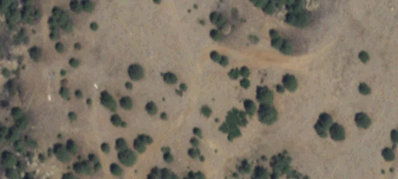 Rociada, NM 87742