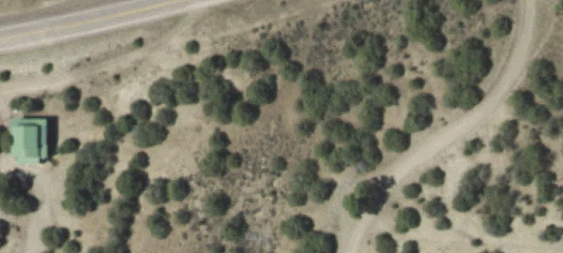 Los Ojos, NM 87551