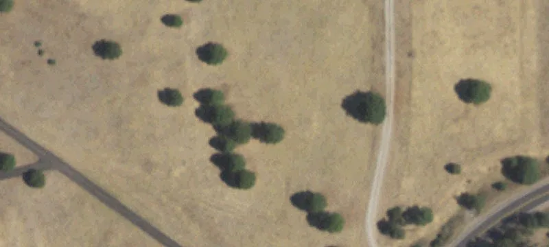 Alto, NM 88312